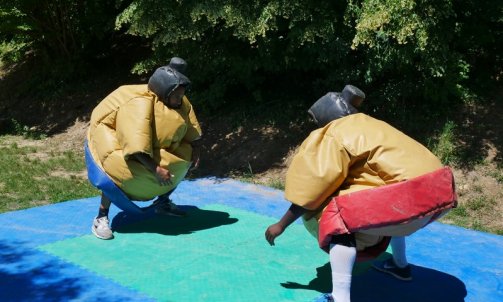 width= enterrement de vie de célibataire proche de Lyon Villefranche sur Saône Combat de Sumo #Anse#Beaujolais